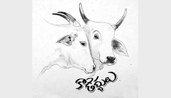 కాడెద్దులు