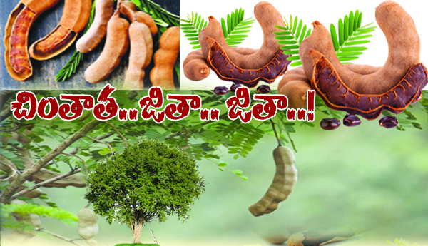 చింతాత.. జితా.. జితా.. !