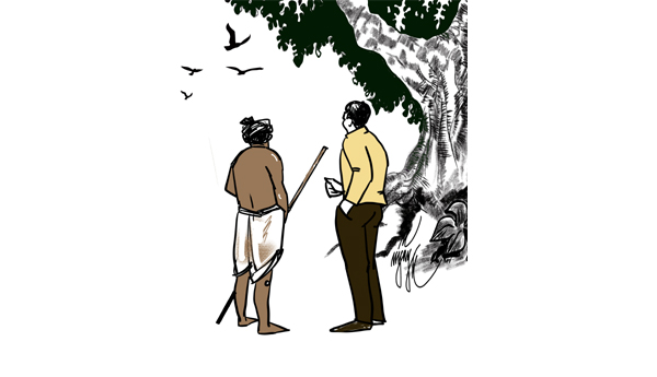 గూడు