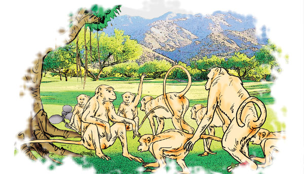 సాధనతోనే విజయం