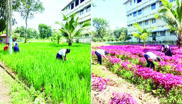 పర్యావరణాన్ని పరిరక్షిస్తూ..