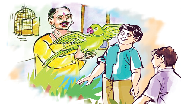 చిలుక పలుకులు
