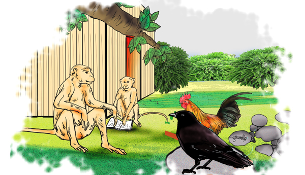 స్వేచ్ఛ