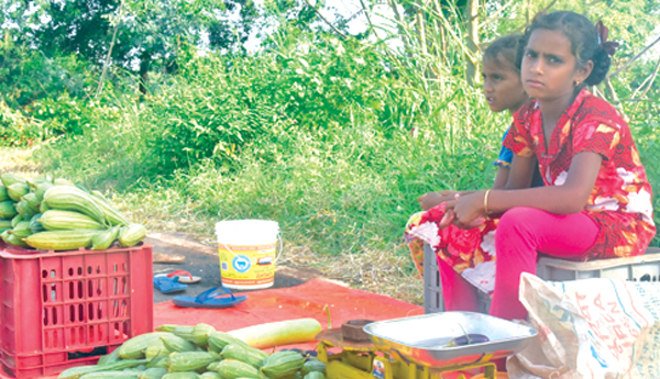 Amrutsavams-vs-hunger-pangs