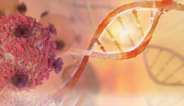 Lets-prevent-cancer-together
