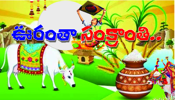 Sankranti-all-over-town