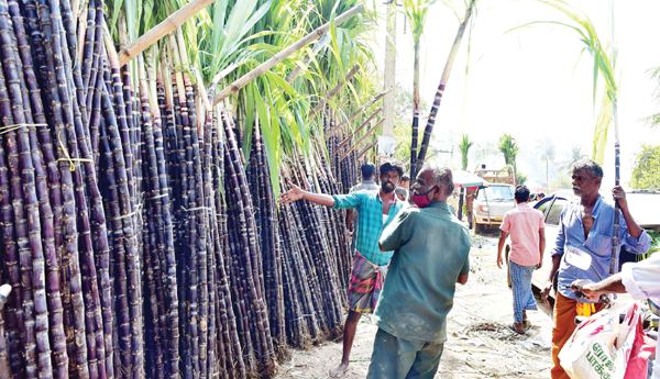 State-sugar-industry-in-crisis