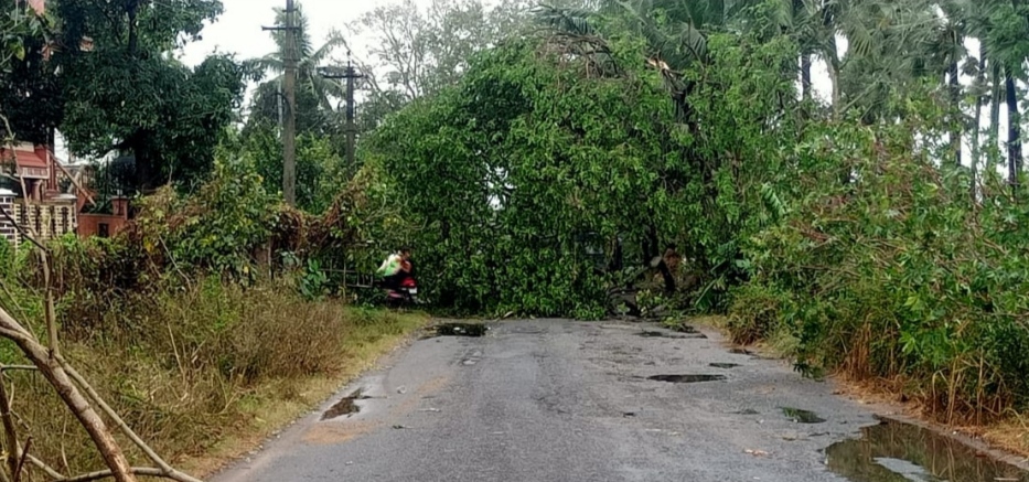 అకాల వర్షం..పంటలకు నష్టం