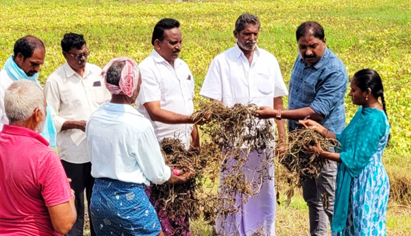 officer-visit-crop-damage-in-machilipatnam