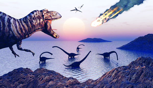 Environmental-protection-with-biodiversity
