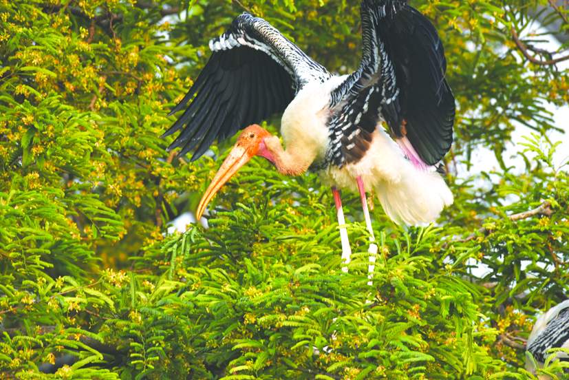 అతిథులెక్కువ.. వసతులు తక్కువ..!