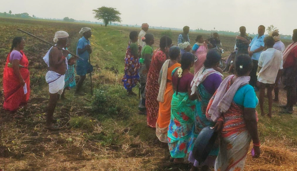 save-upadi-hami-scheme