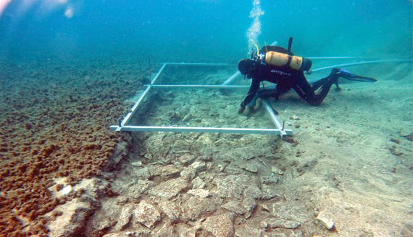Under-the-sea