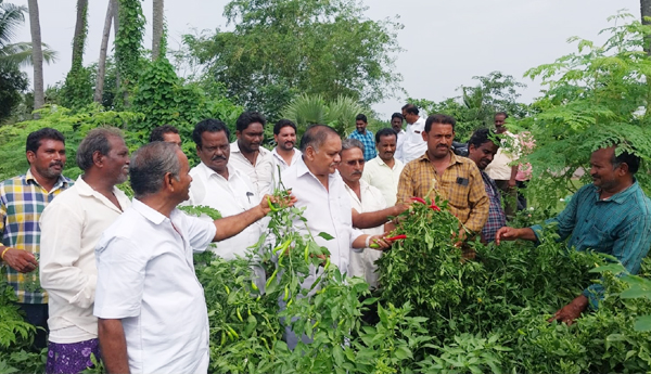 support-to-farmers-crop-damage