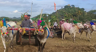 పందెం పోటీలు