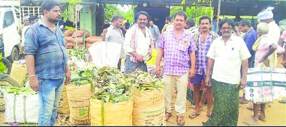 అందుబాటులో కూరగాయల ధరలు