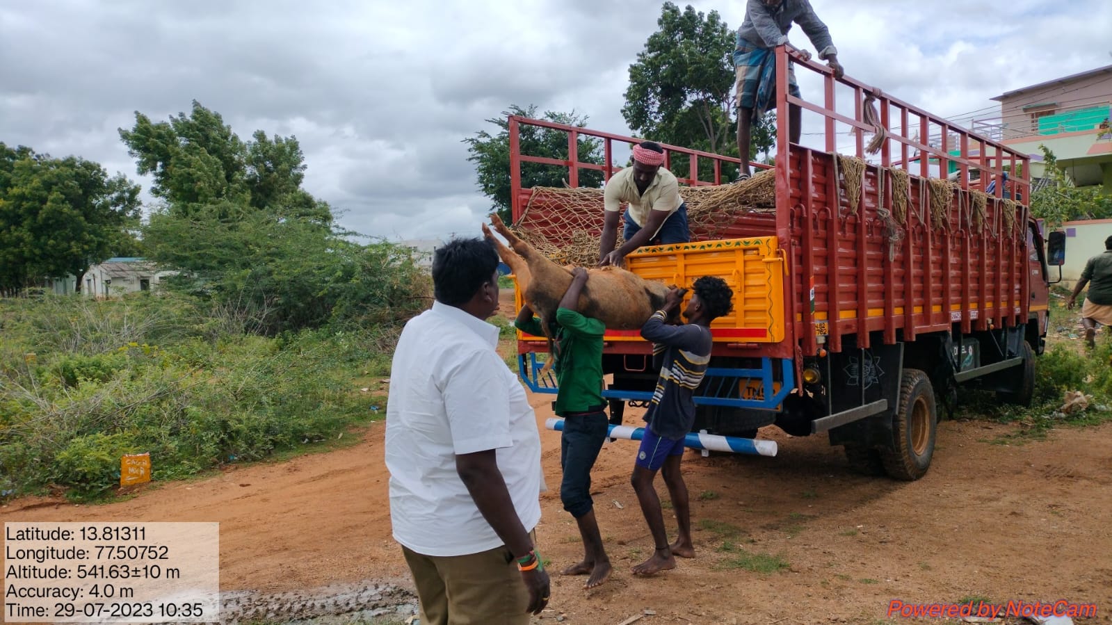 పందులను నియంత్రిస్తాం