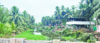రంగరాజుకోడు పూడికతీత పనుల ప్రారంభం