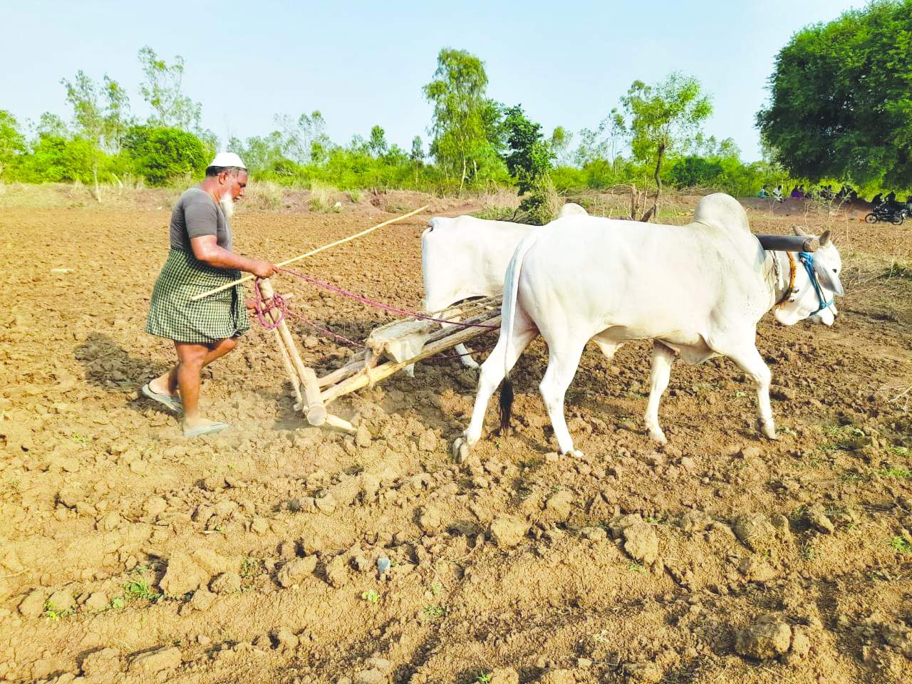 పొలం దున్నుతున్న రైతు