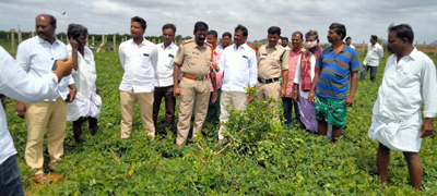  నరికివేత