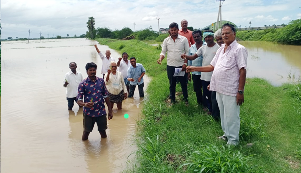 crop-damage-in-heavy-rain-fall