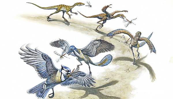 Birds-from-dinosaurs