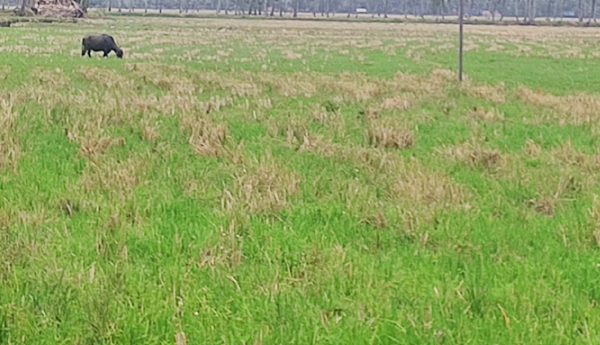 farmer-water-problem