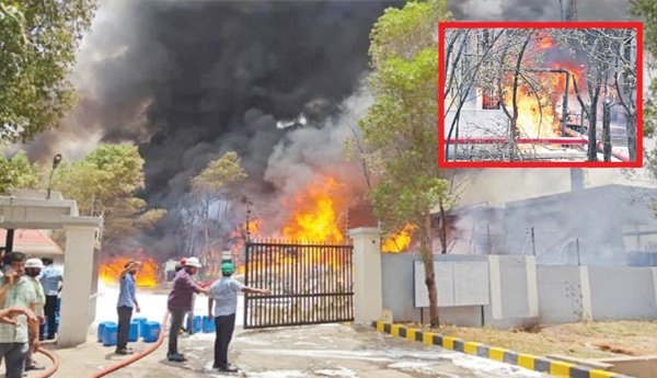 Pharma-industries-are-death-pits