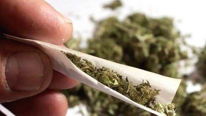 గం'జారు'మత్తు..!