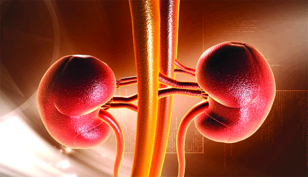 Another-kidney-racket-in-Vijayawada
