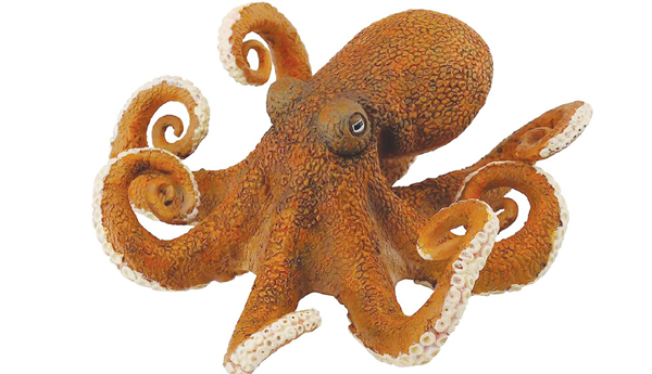 /Octopuses