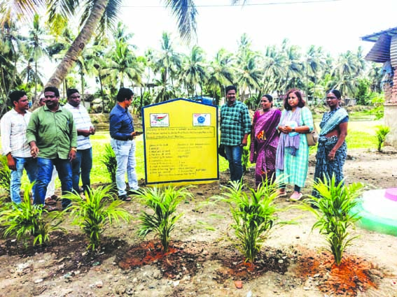 అమృత్‌ సరోవర్‌ చెరువు పరిశీలన
