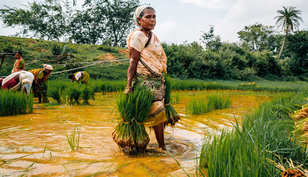 Another-fight-for-agricultural-protection