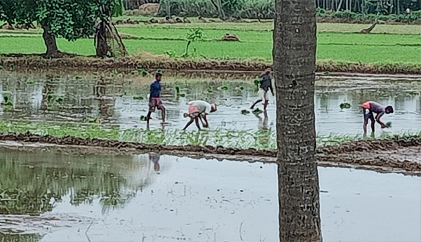 /Heavy-rains-The-work-of-tholakari-Started