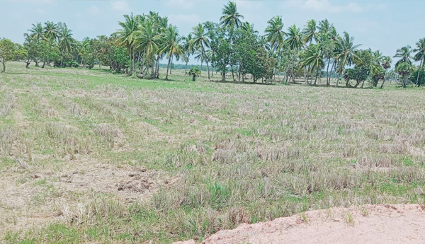 water-problem-in-ramachandrapuram