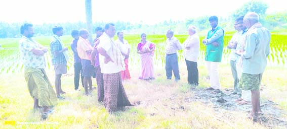      రైతులకు ఇ -క్రాప్‌ నమోదు తప్పనిసరి