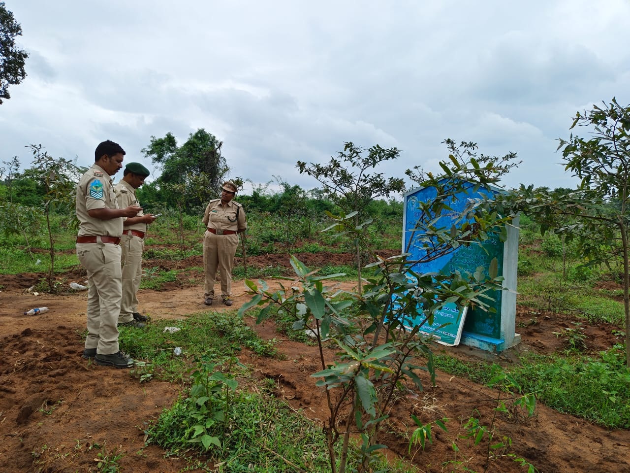 అటవీశాఖ ప్లాంటేషన్‌ పరిశీలన