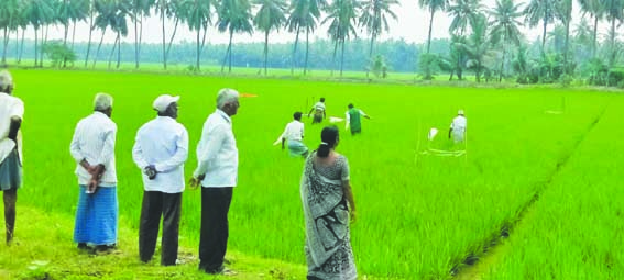  సాగువిధానాలపై రైతులకు అవగాహన
