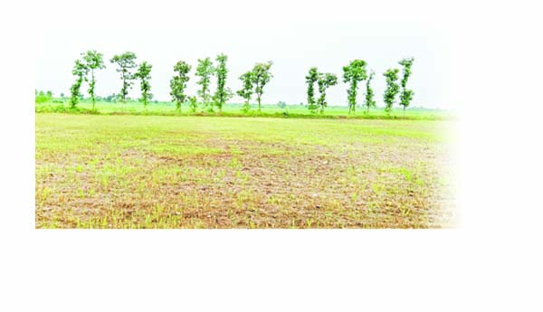 వర్షాలు కురిసినా వెనుకబాటే