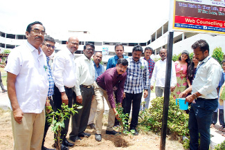 మొక్కలు నాటుతున్న ఆర్‌డిఒ రంగస్వామి