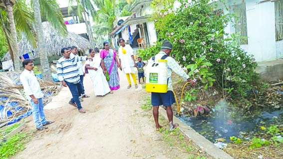 దోమల నివారణకు చర్యలు