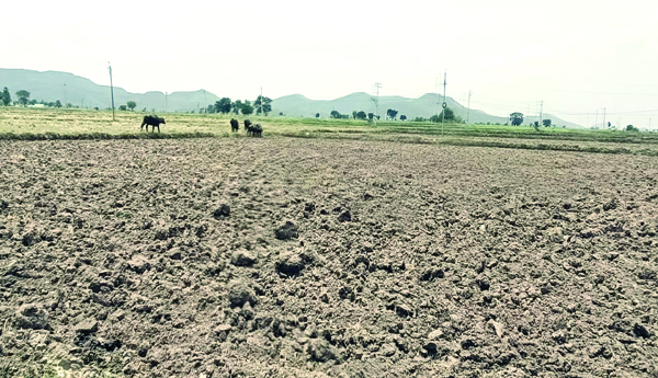 Shades-of-crisis-in-Sagar-Ayakattu