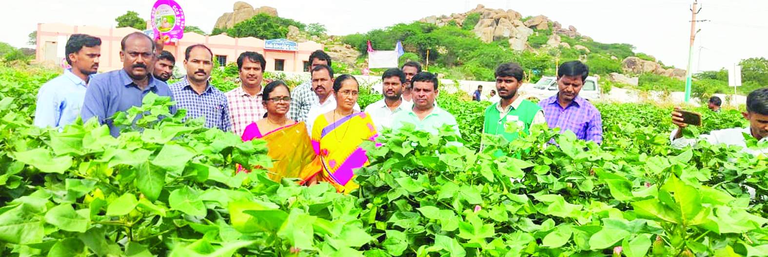 పత్తి పంట ఈ-క్రాప్‌ నమోదును పరిశీలిస్తున్న వరలక్ష్మి
