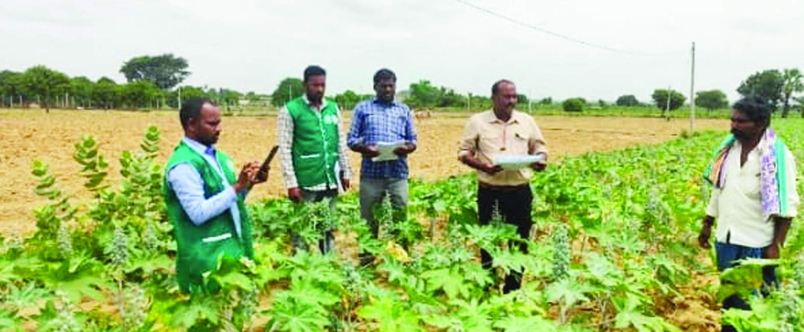 పంట నమోదును పరిశీలిస్తున్న సురేష్‌ బాబు