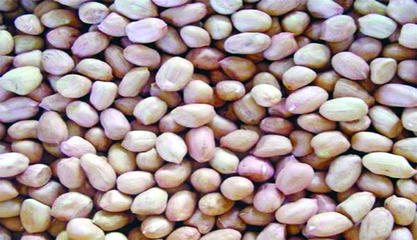 Peanut-subsidy-by-way