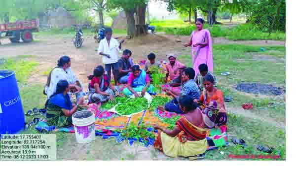 'నీమాస్త్రం' తయారీపై అవగాహన