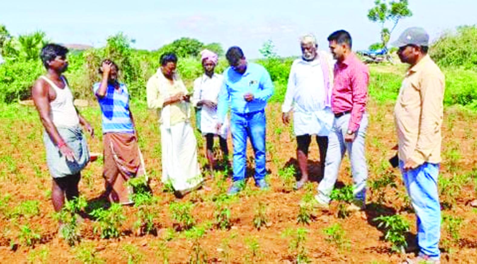 పంటలను పరిశీలిస్తున్న రమేష్‌ నాయక్‌, ఎఒ వరప్రసాద్‌