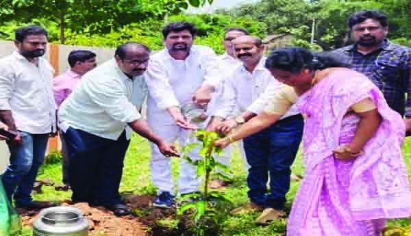 పలు చోట్ల మొక్కలు నాటివేత