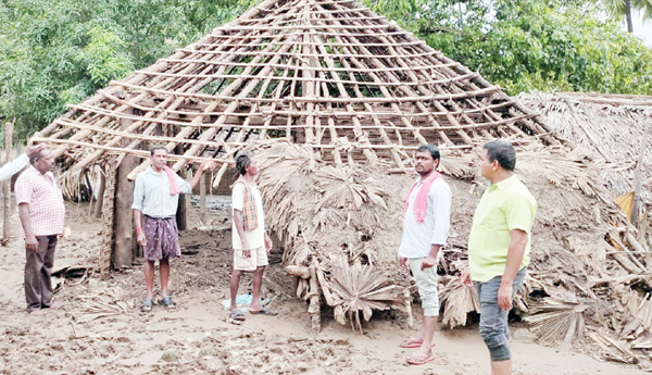 The-nest-is-heartbreaking