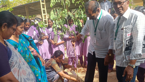 నాటి పోషించాలి